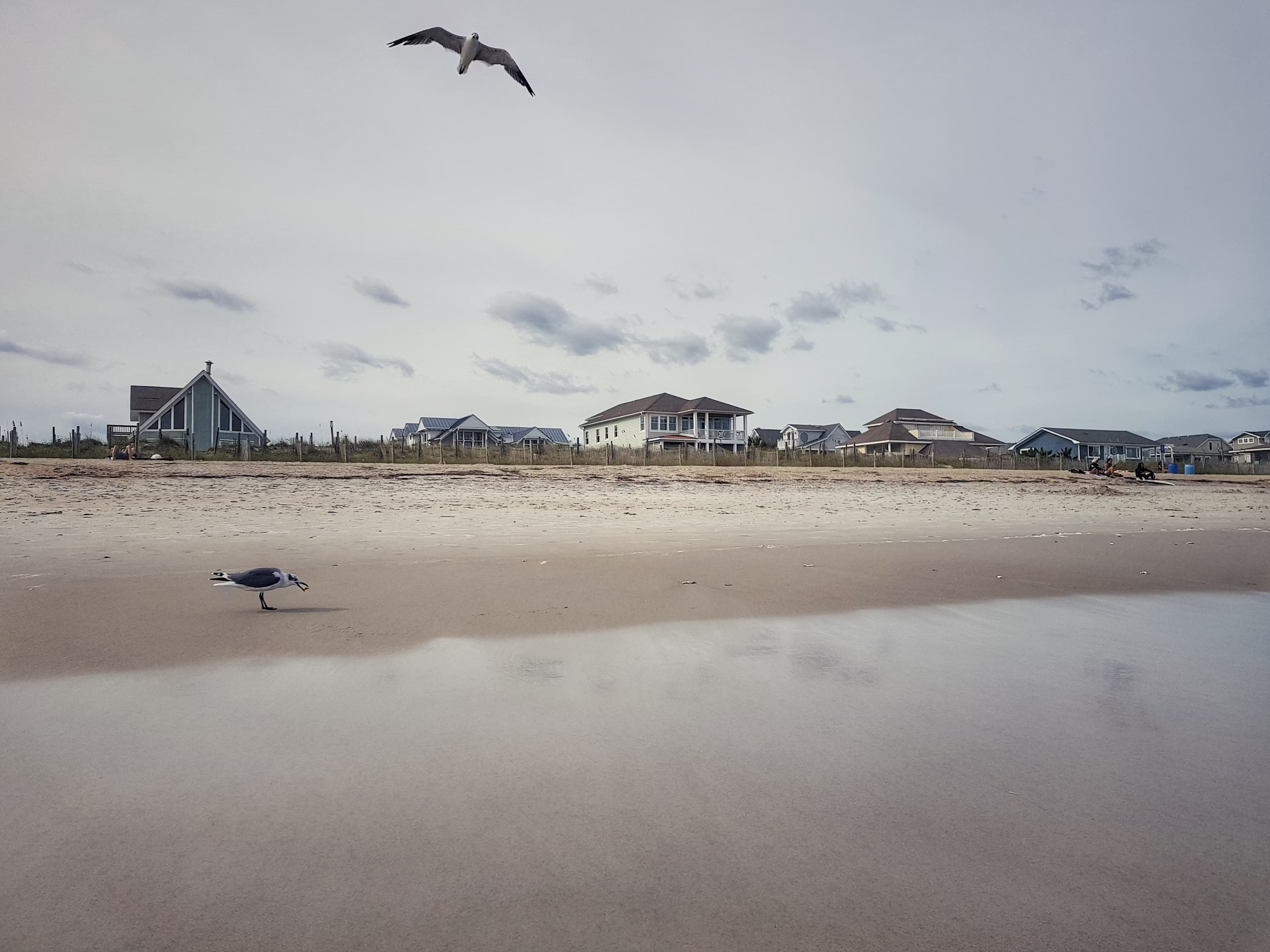 Restoration for the Greater Wilmington area.